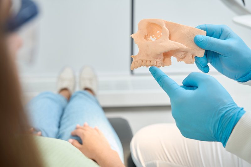 Dentist pointing at a jawbone model to a dental patient